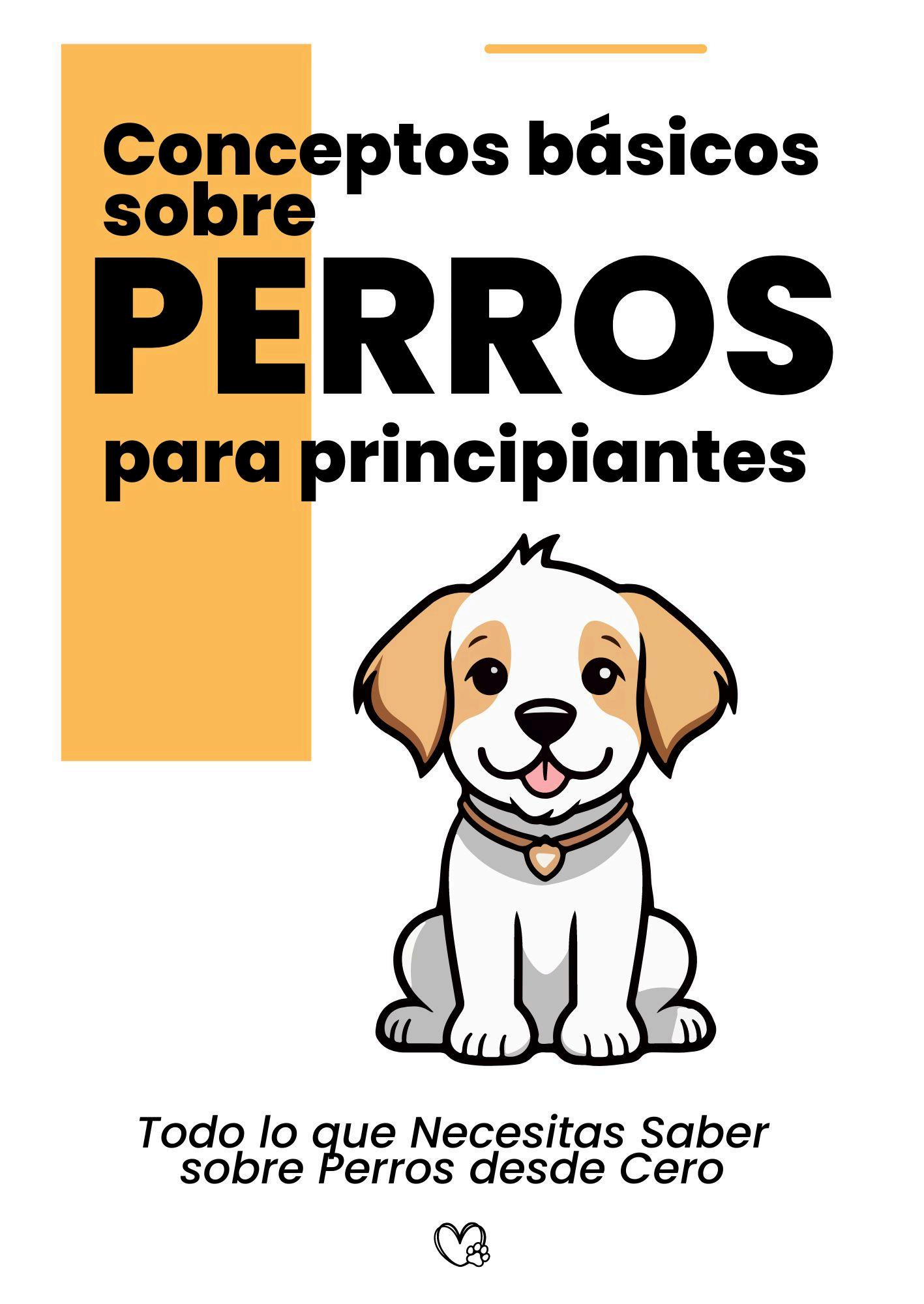 conceptos básicos sobre perros para principiantes